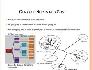 MOLECULAR DETECTION OF NOROVIRUS GI AND GII GENOTYPES FROM CHILDREN ...