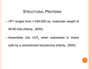 MOLECULAR DETECTION OF NOROVIRUS GI AND GII GENOTYPES FROM CHILDREN ...