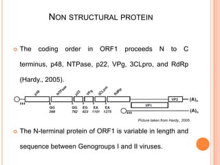 MOLECULAR DETECTION OF NOROVIRUS GI AND GII GENOTYPES FROM CHILDREN ...