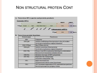 MOLECULAR DETECTION OF NOROVIRUS GI AND GII GENOTYPES FROM CHILDREN ...