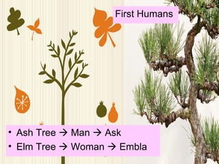 Ash Tree    Man    Ask Elm Tree    Woman    Embla First Humans  