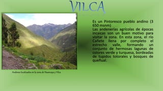 Es un Pintoresco pueblo andino (3
650 msnm)
Las andenerías agrícolas de épocas
incaicas son un buen motivo para
visitar la zona. En esta zona, el río
Cañete llena por completo el
estrecho valle, formando un
conjunto de hermosas lagunas de
colores verde y turquesa, bordeadas
de tupidos totorales y bosques de
queñual.
Andenes localizados en la zona de Huancaya y Vilca
 