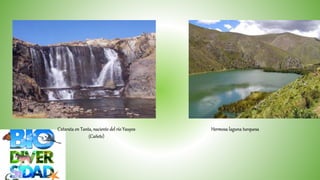 Hermosa laguna turquesaCatarata en Tanta, naciente del río Yauyos
(Cañete)
 