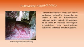 La Reserva Paisajística cuenta con un rico
patrimonio material e immaterial, en
cuanto al tipo de manifestaciones
culturales existen más de 41 atractivos,
de los cuales 37 son sitios arqueológicos
prehispánicos, entre construcciones,
ciudadelas, caminos y pinturas rupestres
Pinturas rupestres de Cuchimachay.
 