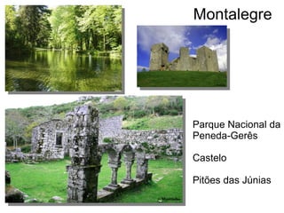 Montalegre
Parque Nacional da
Peneda-Gerês
Castelo
Pitões das Júnias
 
