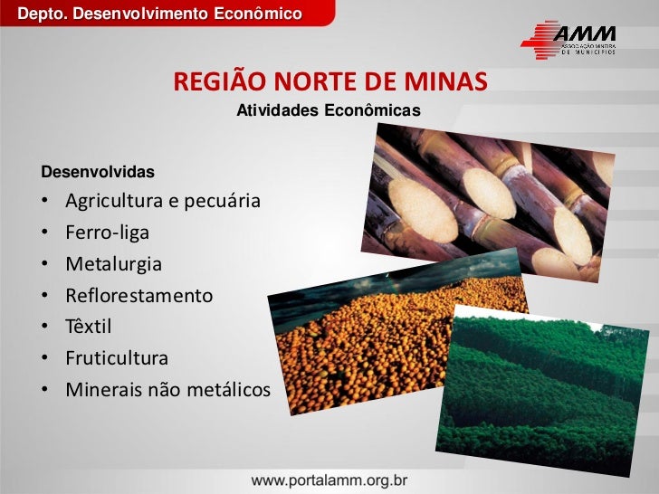 Norte de minas perspectivas econômicas e sociais para o desenvolvimen… Norte de minas perspectivas econômicas e sociais para o desenvolvimen…