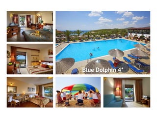 Blue Dolphin 4*
 