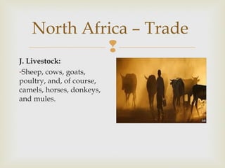 North Africa – Trade

J. Livestock:
-Sheep, cows, goats,
poultry, and, of course,
camels, horses, donkeys,
and mules.

 