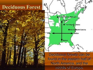 Deciduous Forest

Deciduous forests can be
found in the eastern half of
North America, and the
middle of Europe.

 