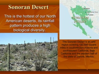Sonoran Desert
This is the hottest of our North
American deserts, its rainfall
pattern produces a high
biological diversity.
The Sonoran Desert is an arid
region covering 120,000 square
miles in southwestern Arizona and
southeastern California, Baja
California and the western half of
the state of Sonora, Mexico.

 