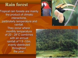 Rain forest

Tropical rain forests are mainly
the product of climatic
interactions,
particularly temperature and
rainfall.
They occur where
monthly temperature
of 20 - 28°C combines
with an annual
rainfall of 1.5 -10m,
evenly distributed
throughout
the year.

 