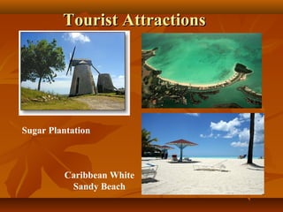 TToouurriisstt AAttttrraaccttiioonnss 
Sugar Plantation 
Caribbean White 
Sandy Beach 
 