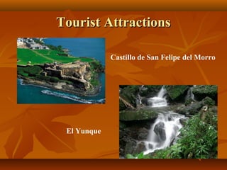 TToouurriisstt AAttttrraaccttiioonnss 
Castillo de San Felipe del Morro 
El Yunque 
 