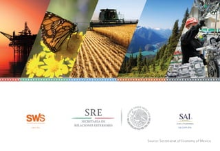 sws.ms sai.com.mx
Source: Secretariat of Economy of Mexico
 