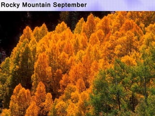 Rocky Mountain September 
