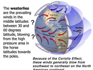 Because of the Coriolis Effect, these winds generally blow from southwest to northeast on the North American continent The  westerlies  are the prevailing winds in the middle latitudes between 30 and 60 degrees latitude, blowing from the high pressure area in the horse latitudes towards the poles.  