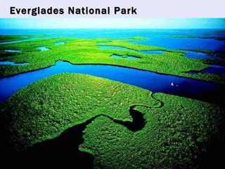 Everglades National Park 