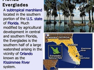 Florida Everglades A  subtropical   marshland  located in the southern portion of the  U.S. state  of  Florida . Much modified by agricultural development in central and southern Florida, the Everglades is the southern half of a large watershed arising in the vicinity of  Orlando  known as the  Kissimmee River  system.   