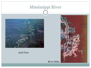 Mississippi River
Arial View
River Delta
 