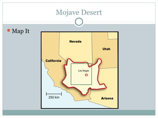 Mojave Desert
Map It
 
