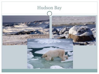 Hudson Bay
 