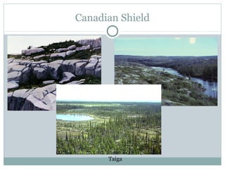 Canadian Shield
Taiga
 