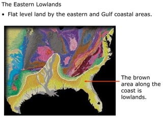 The Eastern Lowlands Flat level land by the eastern and Gulf coastal areas. The brown area along the coast is lowlands. 