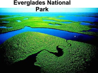 Everglades National Park 