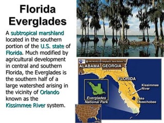 Florida Everglades A  subtropical   marshland  located in the southern portion of the  U.S. state  of  Florida . Much modified by agricultural development in central and southern Florida, the Everglades is the southern half of a large watershed arising in the vicinity of  Orlando  known as the  Kissimmee River  system.   