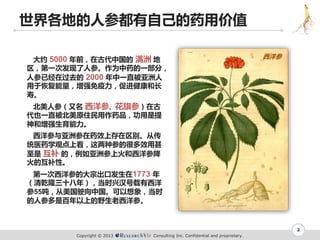 人参在西洋