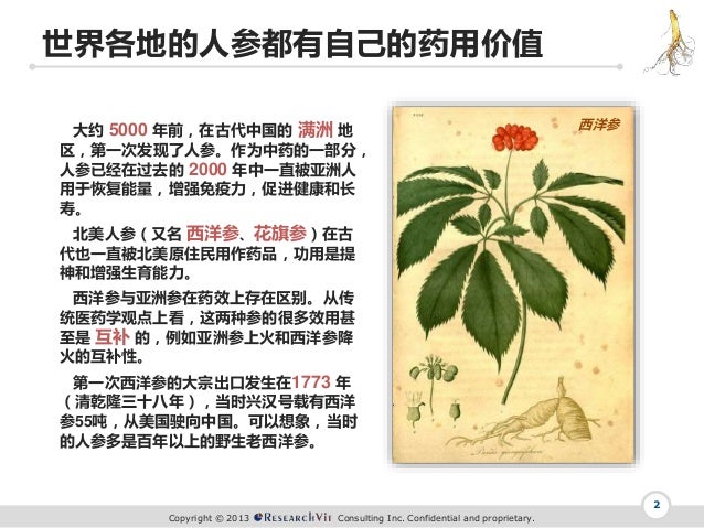 人参在西洋 人参在西洋