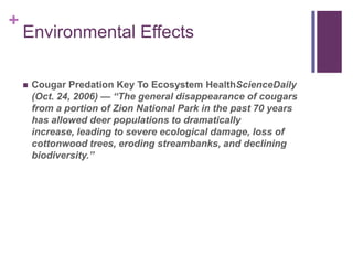 +
    Environmental Effects

       Cougar Predation Key To Ecosystem HealthScienceDaily
        (Oct. 24, 2006) — “The general disappearance of cougars
        from a portion of Zion National Park in the past 70 years
        has allowed deer populations to dramatically
        increase, leading to severe ecological damage, loss of
        cottonwood trees, eroding streambanks, and declining
        biodiversity.”
 
