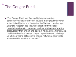 +
    The Cougar Fund

       “The Cougar Fund was founded to help ensure the
        conservation and protection of cougars throughout their range
        in the United States and the rest of the Western Hemisphere.
        Scientific research has shown us that healthy cougar
        populations help to conserve healthy landscapes and the
        biodiversity that enrich and sustain human life...Conserving
        healthy and well-connected cougar populations not only helps
        us fulfill our moral obligation to protect nature but also yields
        immeasurable benefits to humans.”
 
