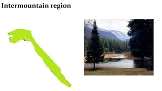 Where Is Intermountain North America Regions | PPTX