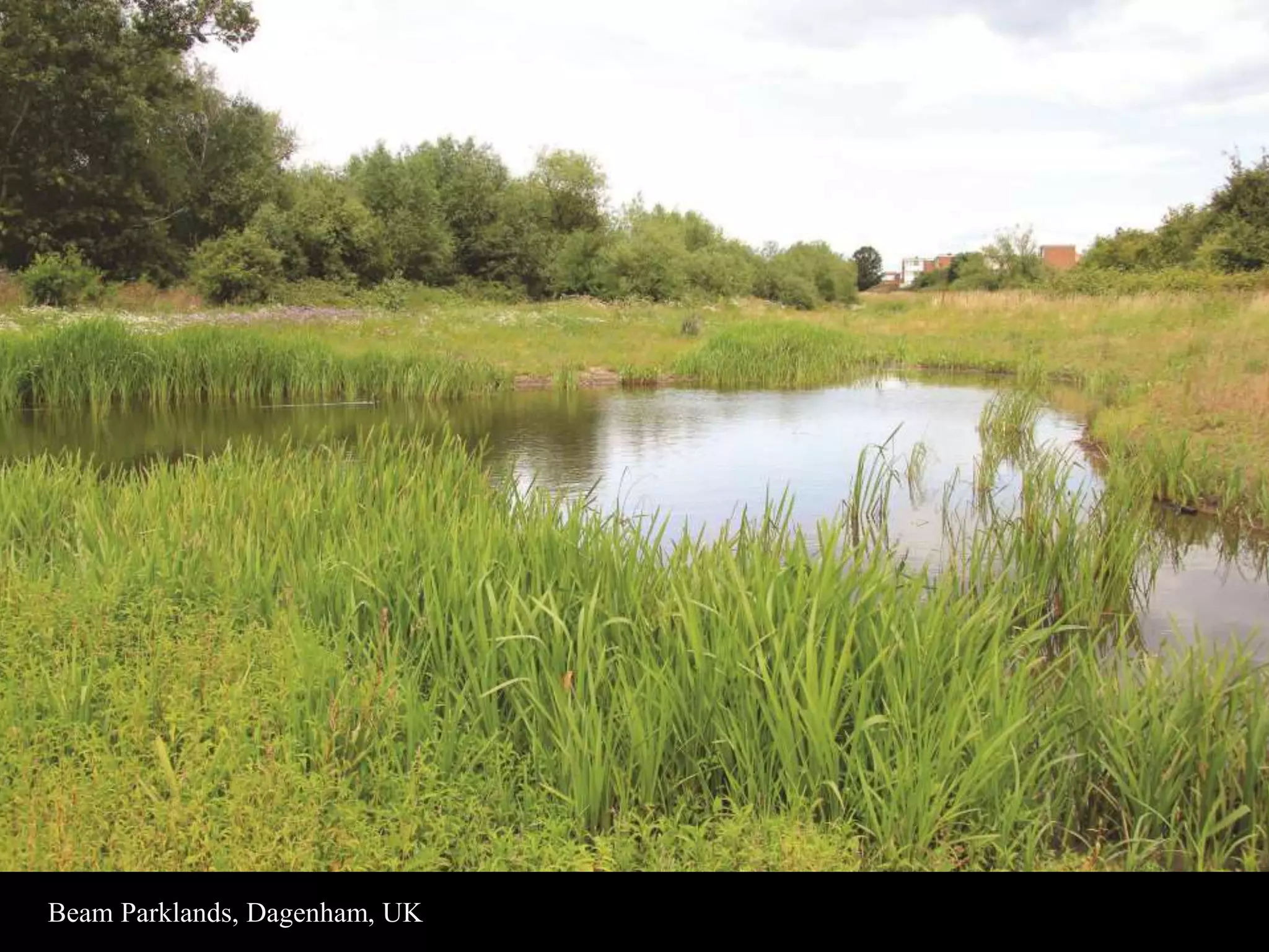 Beam Parklands, Dagenham, UK 
 
