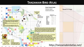 TANZANIAN BIRD ATLAS
http://tanzaniabirdatlas.net/
Based in Iringa
 