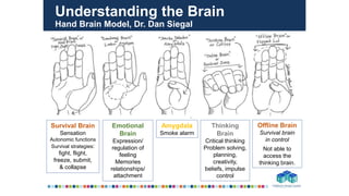 Hand Brain Model Video North Buncombe Overview | PPTX