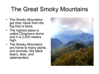 The Great Smoky Mountains The Smoky Mountains get their name from the fog that is there. The highest place is called Clingmans dome and it is 2.025 meters high. The Smoky Mountains are home to many plants and animals, like black bears, deer, and salamanders. 