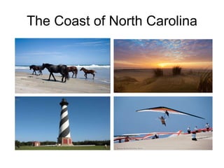 The Coast of North Carolina 