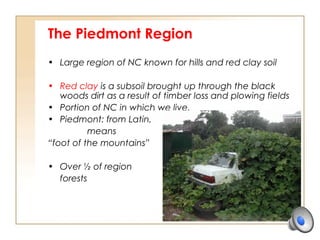 The Piedmont Region
• Large region of NC known for hills and red clay soil
• Red clay is a subsoil brought up through the black
woods dirt as a result of timber loss and plowing fields
• Portion of NC in which we live.
• Piedmont: from Latin,
means
“foot of the mountains”
• Over ½ of region
forests
 