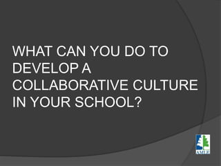 WHAT CAN YOU DO TO
DEVELOP A
COLLABORATIVE CULTURE
IN YOUR SCHOOL?
 