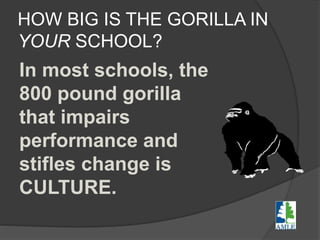 HOW BIG IS THE GORILLA IN
YOUR SCHOOL?
In most schools, the
800 pound gorilla
that impairs
performance and
stifles change is
CULTURE.
 