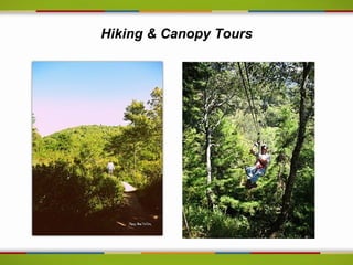 Hiking & Canopy Tours
 