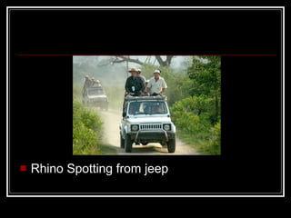 Rhino Spotting from jeep 