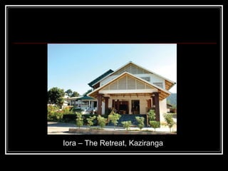 Iora – The Retreat, Kaziranga 