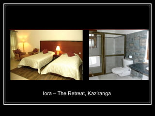 Iora – The Retreat, Kaziranga 
