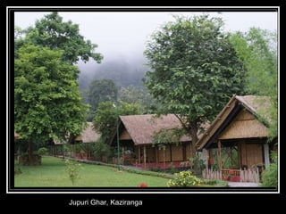 Jupuri Ghar, Kaziranga 