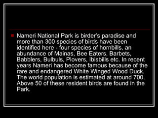 Nameri National Park is birder’s paradise and more than 300 species of birds have been identified here - four species of hornbills, an abundance of Mainas, Bee Eaters, Barbets, Babblers, Bulbuls, Plovers, Ibisbills etc. In recent years Nameri has become famous because of the rare and endangered White Winged Wood Duck. The world population is estimated at around 700. Above 50 of these resident birds are found in the Park. 