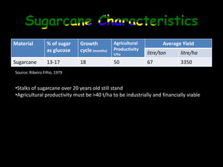 Sugarcane CharacteristicsSource: RibeiroFilho, 1979Stalks of sugarcane over 20 years old still stand