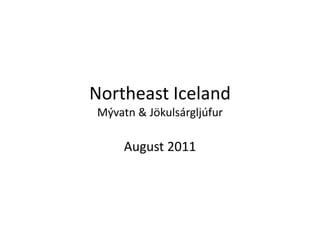 Northeast IcelandMývatn & Jökulsárgljúfur August 2011 